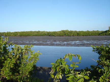 kayak the flats in Goodland Florida