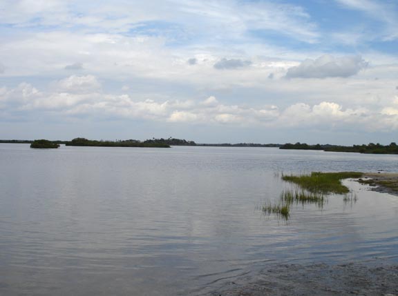 Picture of Ozello Florida